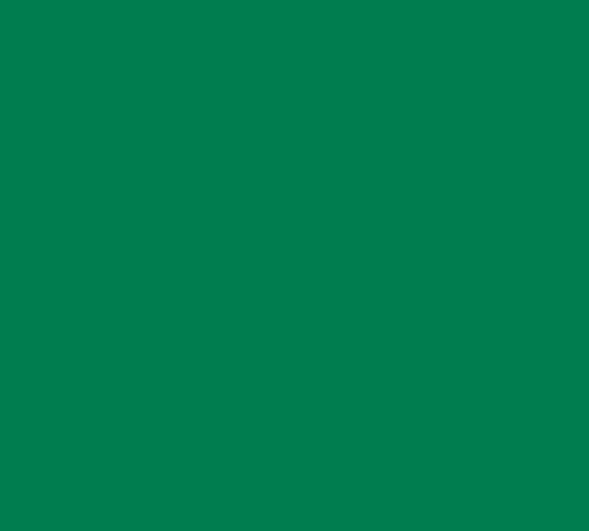 Flexfolie groen 20 cm x 25 cm