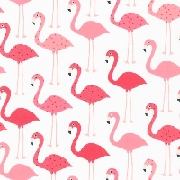 Flamingo's Robert Kaufman