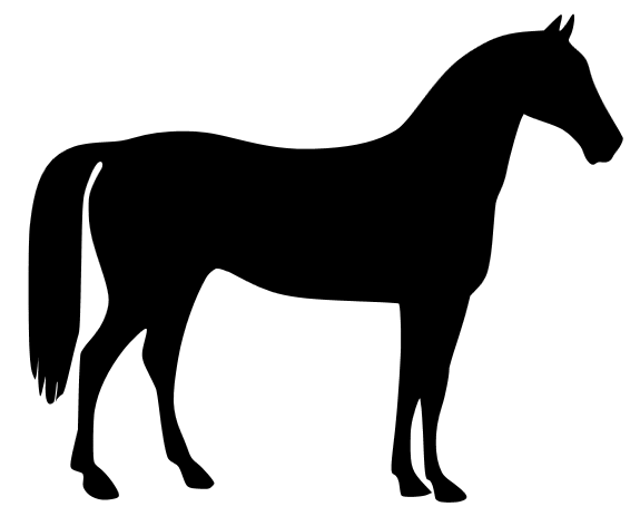 Strijkapplicatie paard