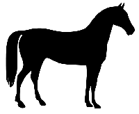 Strijkapplicatie paard