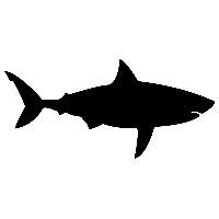Strijkapplicatie haai